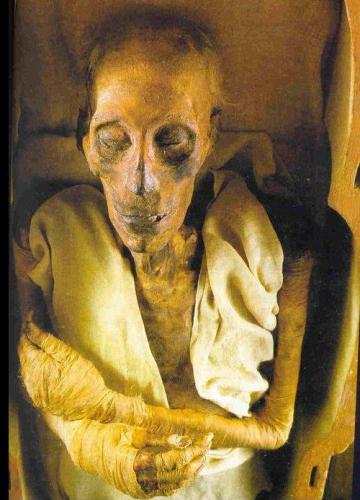 pharaon